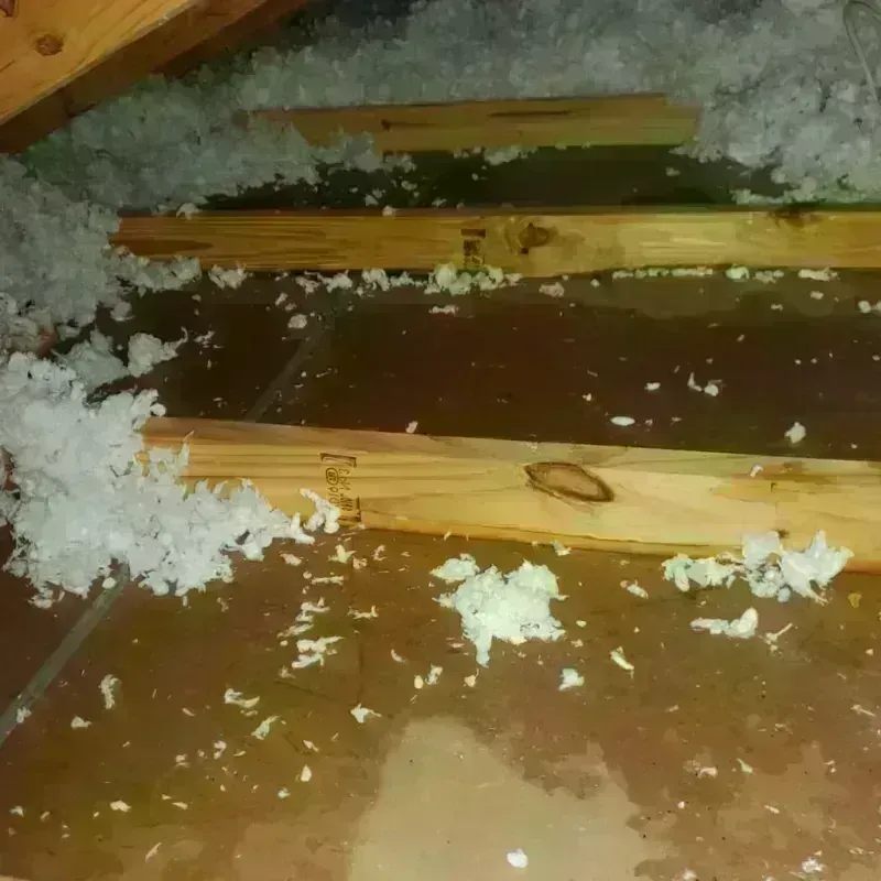 Attic Water Damage in Wolcottville, IN