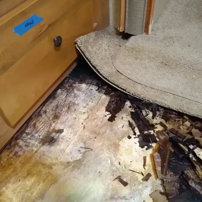 Best Wood Floor Water Damage Service in Wolcottville, IN